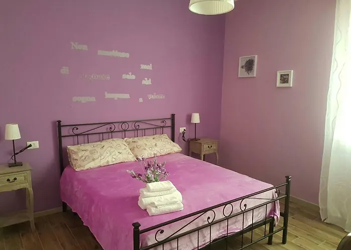 Giardino Di Alex Assisi